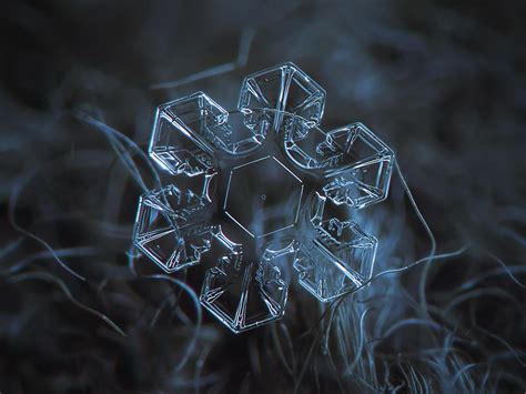 Macro Photography of Snowflakes [13 Pics] | I Like To Waste My Time