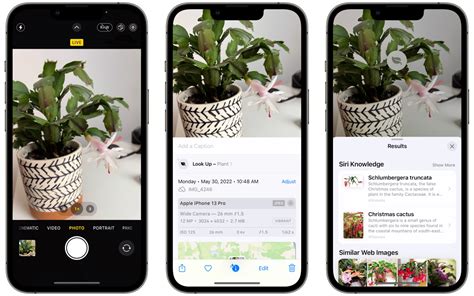 How to identify plants and flowers with your iPhone camera | AppleInsider