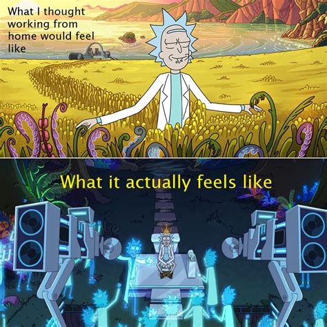 I made my first Rick and Morty meme because I'm so fulfilled. : r ...