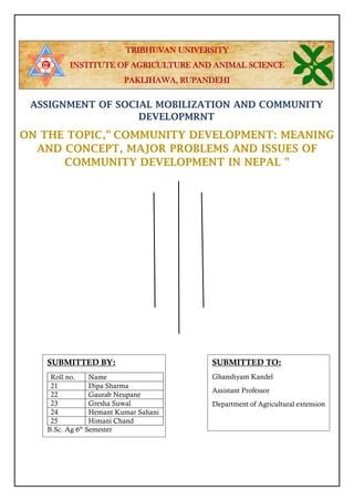 Community development | PDF