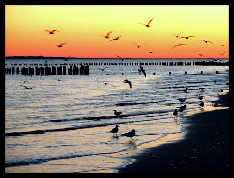 Far Rockaway Beach Photograph by Kate Leikin - Pixels