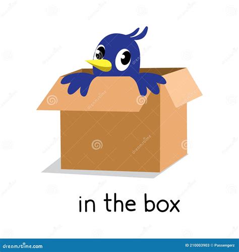 Preposition Of Place. Bird In The Box Cartoon Vector | CartoonDealer ...