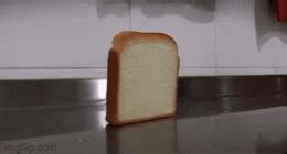 Bread falling over - Imgflip