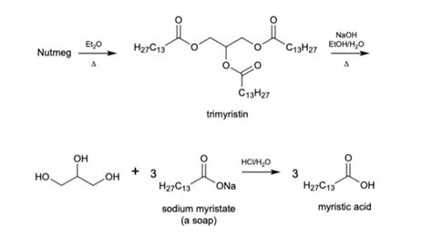 Solved Nutmeg trimyristin sodium myristate myristic acid (a | Chegg.com