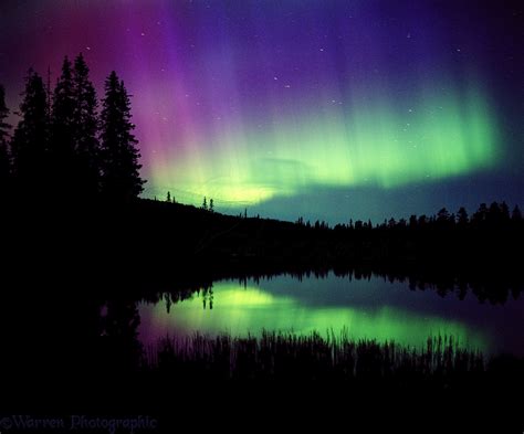 Aurora Borealis photo WP01835