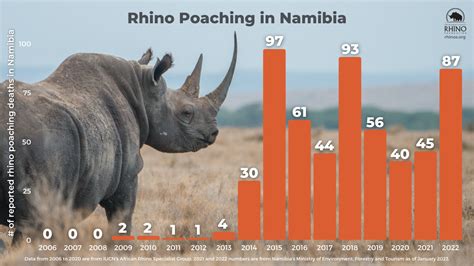 State of the Rhino Update: Rhino Poaching Nearly Doubles in Namibia ...