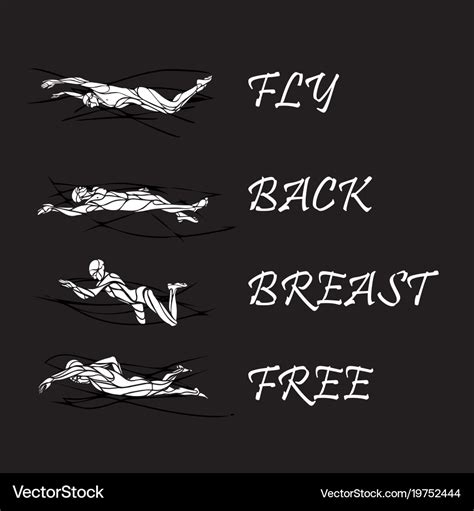 Set of 4 swimming styles swim strokes Royalty Free Vector