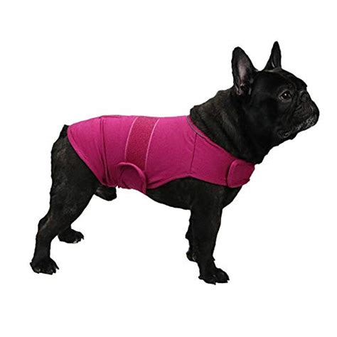 Best Dog Anxiety Vests in 2020 - Ratings, Prices, Products | ACuteADay ...