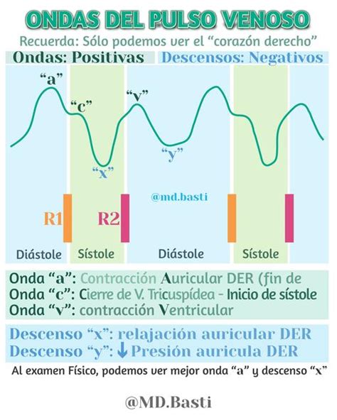 RESUMEN Onda Pulso Venoso Yugular MIR 2021 | Dr. Basti | uDocz