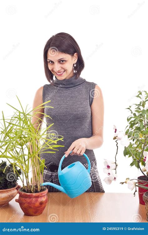 Woman irrigate plants stock image. Image of grow, plant - 24595319