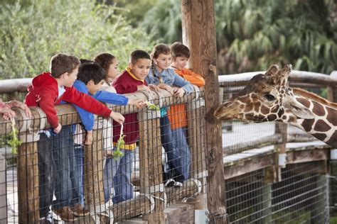 Night Howls At Mill Mountain Zoo - Berglund Cars