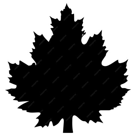 Premium Vector | Maple leaf silhouette design