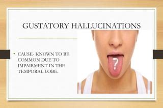 hallucination | PPT