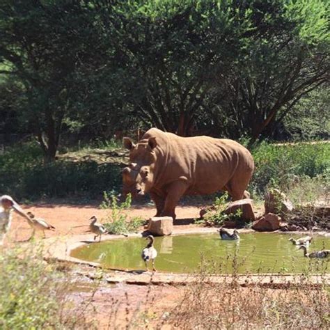 Pretoria Zoo - Find Your Adventure