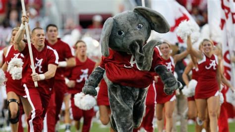 What Exactly Is a Crimson Tide? | Mental Floss