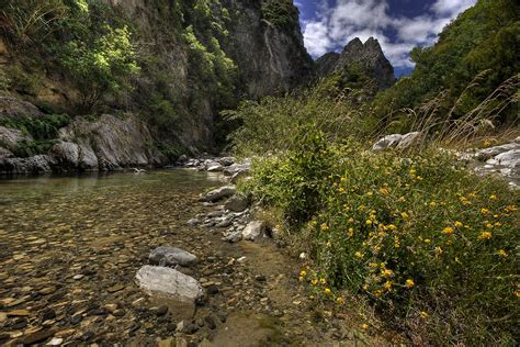 Waima River | Taken on the walk in to Sawcut Gorge. This is … | Flickr