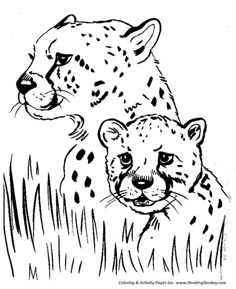 Wild Animal Coloring Pages | Cheetah Coloring Page and Kids Activity sheet | HonkingDonkey