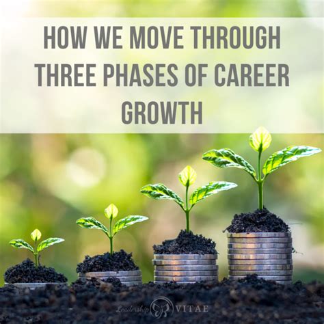 How we move through three phases of career growth - Leadership VITAE