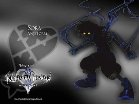 Anti Sora - Kingdom Hearts 2 Photo (32476507) - Fanpop