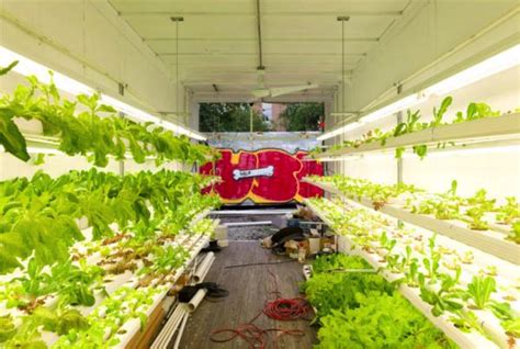 Urban Agriculture, Food Production and Shipping Containers | Hydroponics diy, Hydroponic farming ...