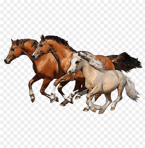 Horse Png Gif - All png & cliparts images on nicepng are best quality ...