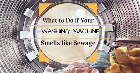 What To Do If Your Washing Machine Smells Like Sewage