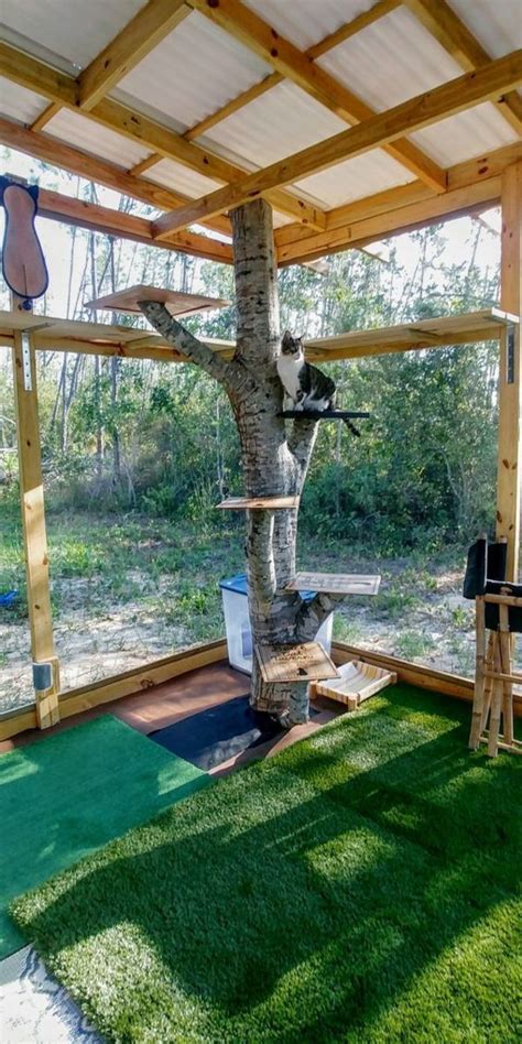 30+ DIY Catio Ideas That Are Totally Pawsome | Cat enclosure, Outdoor ...