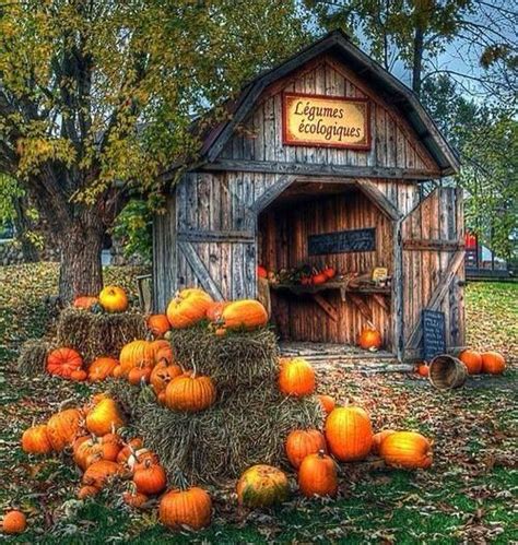 Pumpkin Barn | Fall | Pinterest | Pumpkins and Barns