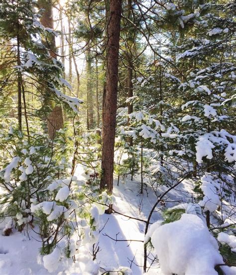 Winter Wonderland in Michigan's Upper Peninsula | Winter scenery ...