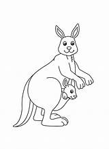 60  Kangaroo Coloring Pages Free Printable PDF JPG PNG & Online sketch template