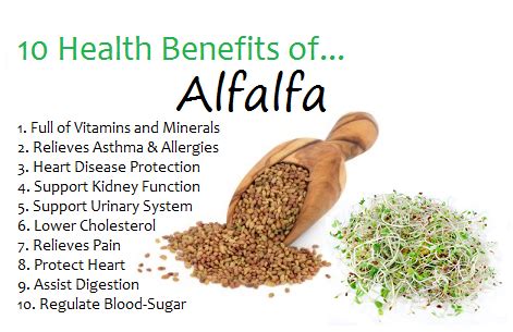 Health Benefits of Alfalfa. #healthyfood #healthlife | Coconut health ...