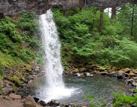 Oregon's Prettiest Waterfalls | State parks, Oregon travel, Waterfall