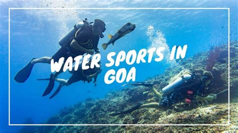 15 Water Sports in Goa You Must Try on Your Trip - Travlics