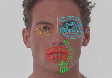 Maya modeling: The head | Maya modeling, Face topology, Topology