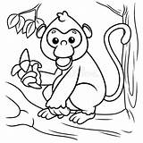 Monkey Cartoon Coloring Page Vector Stock  Illustration Of sketch template