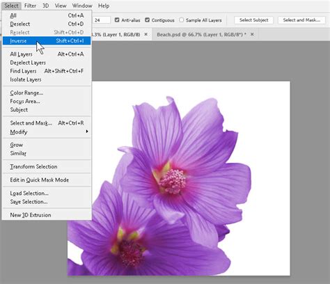 Using Photoshop — Tips, Tricks, and Hints - SkillForge