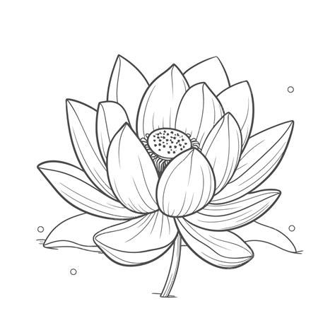 Lotus Flower Line Artwork Coloring Page On White Background Outline Sketch Drawing Vector ...