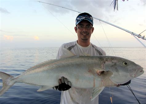 How to Catch Amberjack - Tips for Fishing for Amberjack