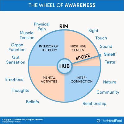 Wheel of Awareness | Wheel of Awareness Meditation | TheMindFool