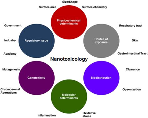 Complex issues surrounding toxicity of nanoparticles [3]. | Download Scientific Diagram