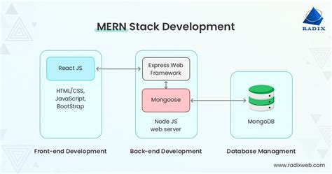 MERN Stack vs MEAN Stack: Choosing the Right Tech Stack