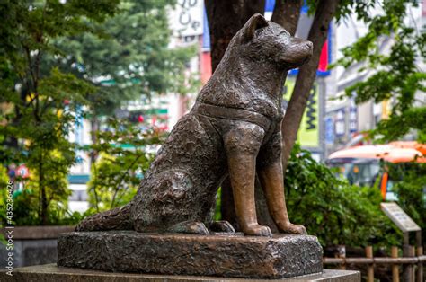 Hachiko dog statue in Shibuya, Tokyo Stock Photo | Adobe Stock