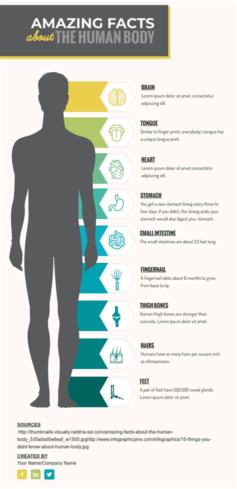 What Is Visual Communication and Why Is It Important | Visual Learning Center by Visme