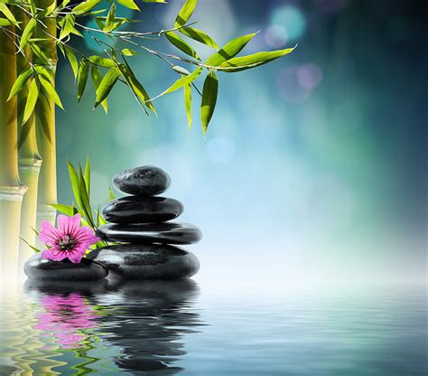 HD wallpaper: black stones, flower, water, bamboo, orchid, reflection, spa | Wallpaper Flare