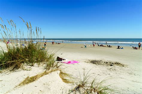 Disney's Hilton Head Island Resort - Beach House at Palmetto Dunes Beach Park - Photo 15 of 20