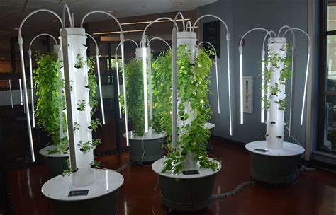 Vertical Aeroponic Gardens Debut at Oglethorpe Dining Commons ...