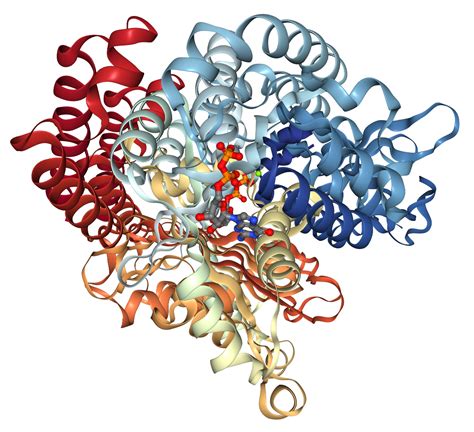 beta-III Tubulin/TUBB3 Protein Overview: Sequence, Structure, Function ...