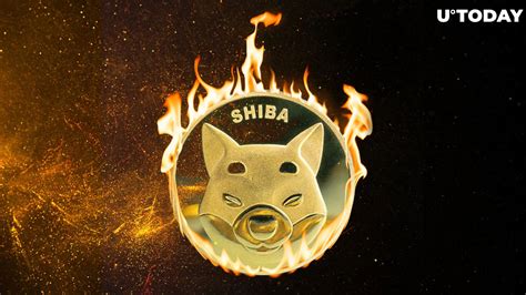 More Than 8 Million Shiba Inu Tokens Burnt as Meme Coin Takes Breather ...