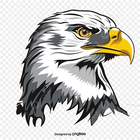 Eagle PNG Image, Eagle, Eagle Vector, Animal, Renderings PNG Image For ...