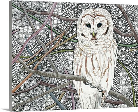 Barred Owl Wall Art, Canvas Prints, Framed Prints, Wall Peels | Great ...